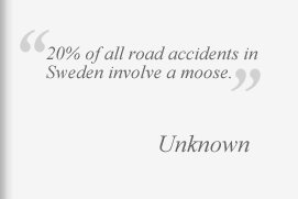 Intensive Driving Quote